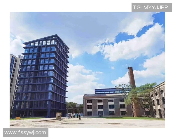 杭州篮球队的华丽转身亚运会背后的奋斗与荣耀之路